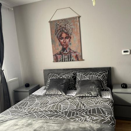 Apartament Acasa Сибиу Экстерьер фото