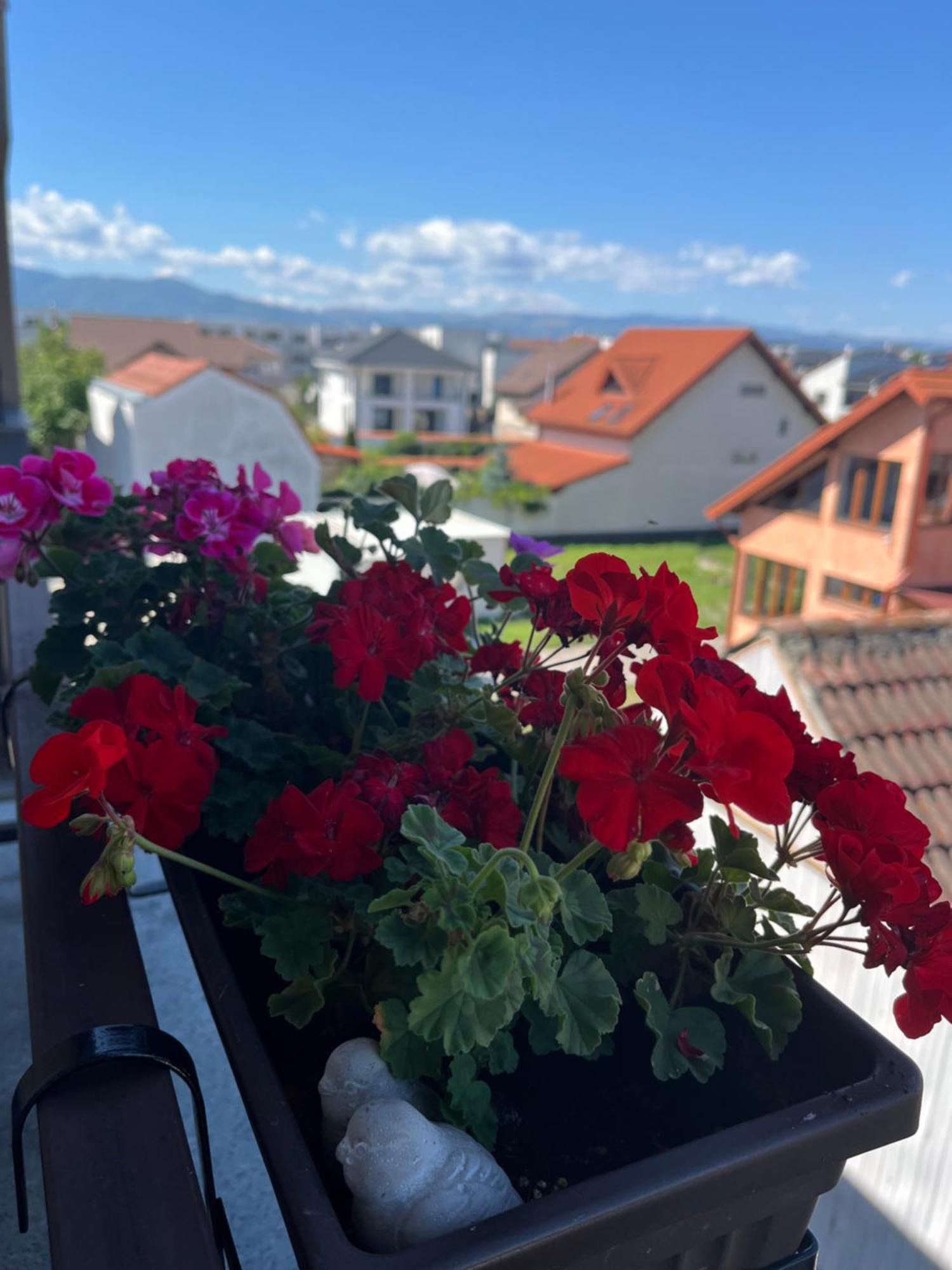 Apartament Acasa Сибиу Экстерьер фото